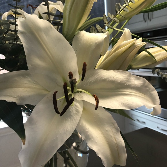 Meet your Posher, Ellen - Picture 1 of 1